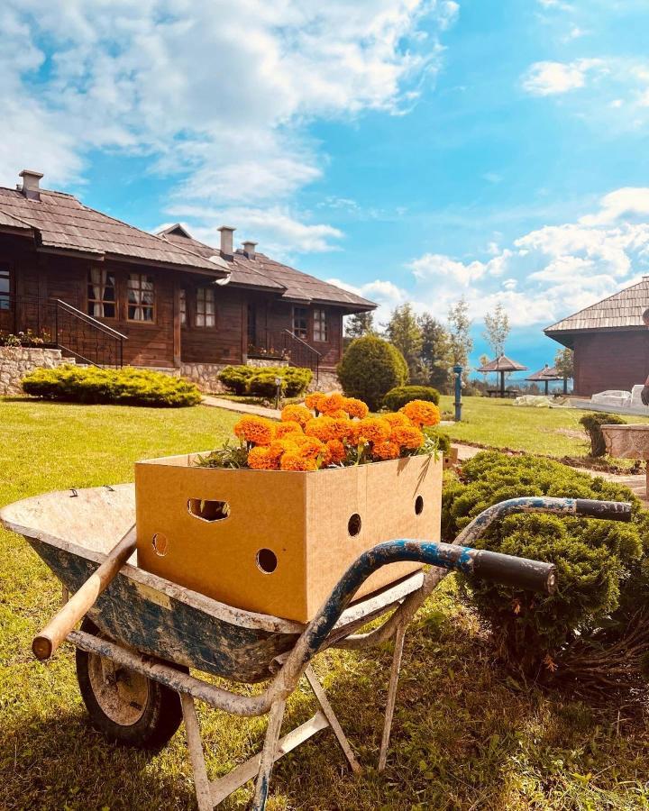 Etno Selo Vranesa Zlatar Hotel Nova Varoš Buitenkant foto