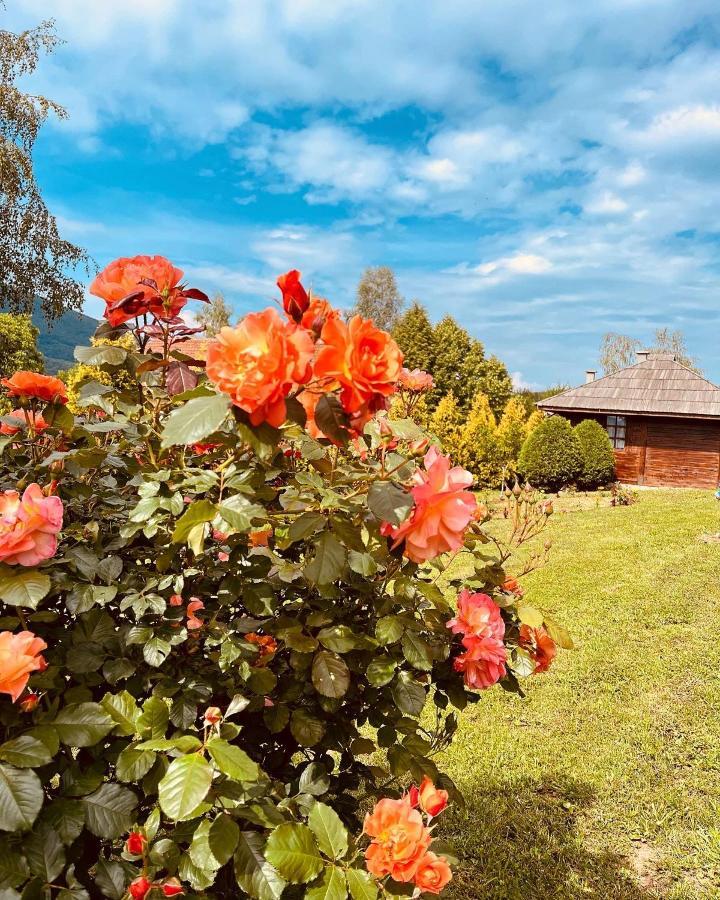 Etno Selo Vranesa Zlatar Hotel Nova Varoš Buitenkant foto